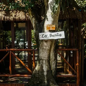 https://cobanitas.allrivieramayahotels.com